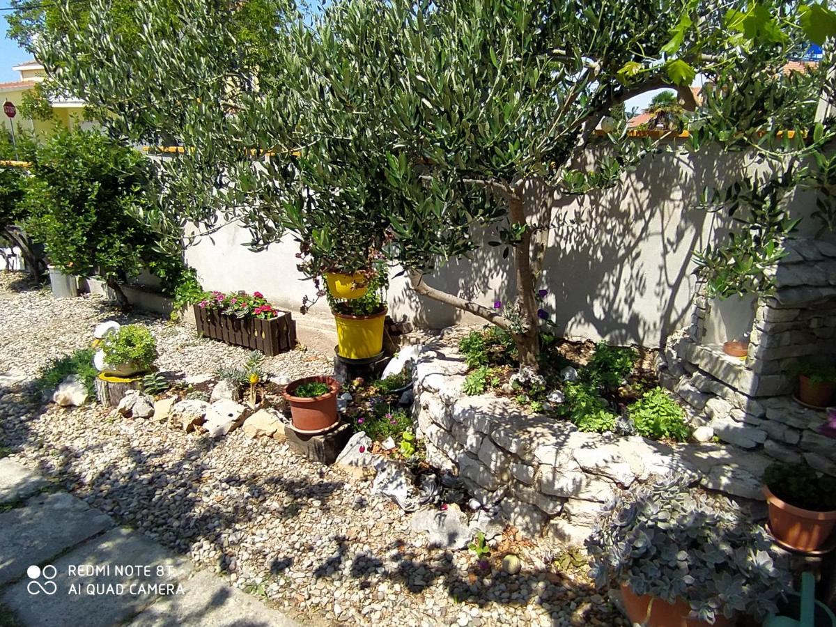 Apartments Ante Tribalj Dış mekan fotoğraf