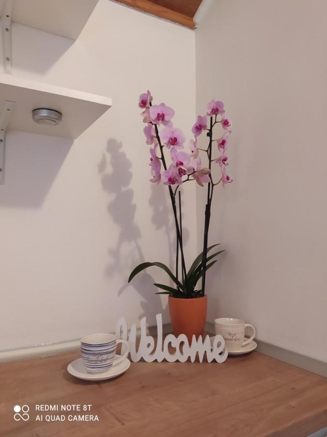 Apartments Ante Tribalj Dış mekan fotoğraf