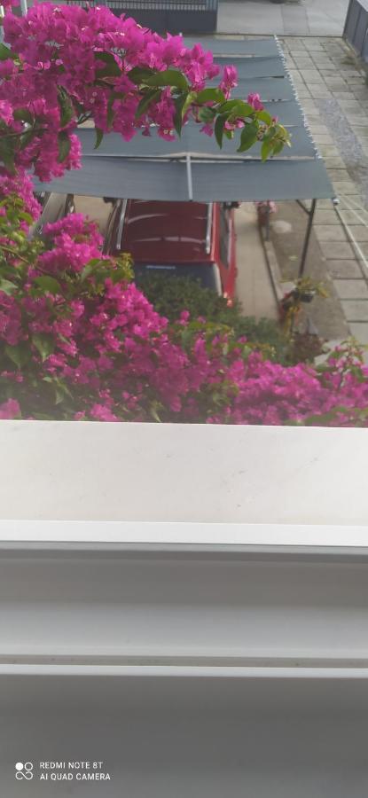 Apartments Ante Tribalj Dış mekan fotoğraf