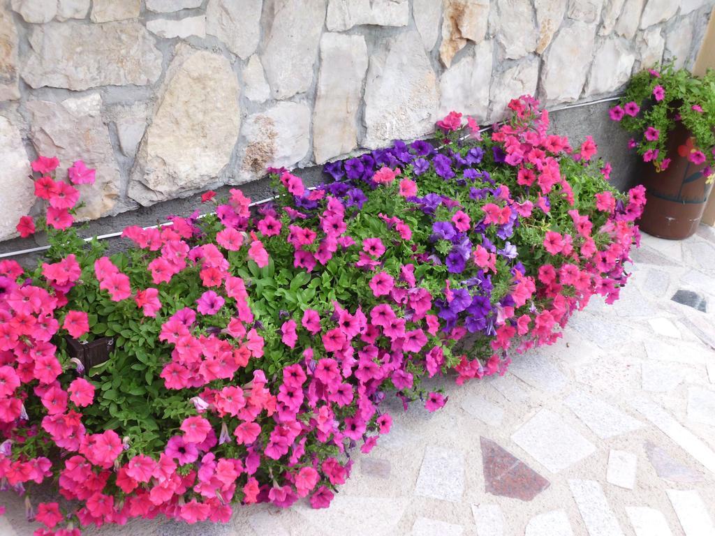 Apartments Ante Tribalj Dış mekan fotoğraf